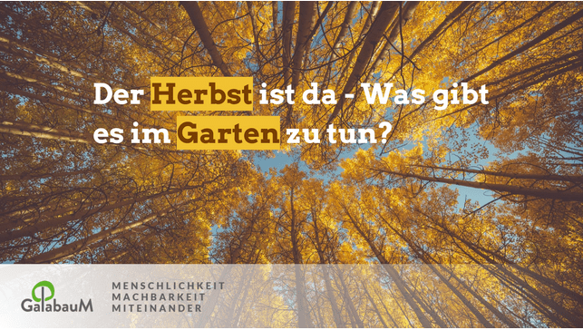 Herbst